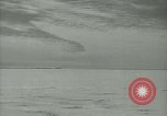 Image Snow pétrels l'Antarctique, 1929, de la seconde 10 séquences d'archives historiques vidéo 65675020813