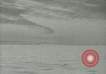 Image Snow pétrels l'Antarctique, 1929, de la seconde 11 séquences d'archives historiques vidéo 65675020813