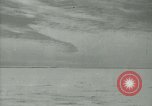Image Snow pétrels l'Antarctique, 1929, de la seconde 12 séquences d'archives historiques vidéo 65675020813