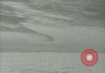 Image Snow pétrels l'Antarctique, 1929, de la seconde 13 séquences d'archives historiques vidéo 65675020813