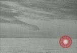 Image Snow pétrels l'Antarctique, 1929, de la seconde 14 séquences d'archives historiques vidéo 65675020813