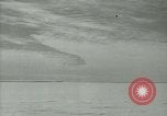 Image Snow pétrels l'Antarctique, 1929, de la seconde 15 séquences d'archives historiques vidéo 65675020813
