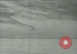 Image Snow pétrels l'Antarctique, 1929, de la seconde 16 séquences d'archives historiques vidéo 65675020813