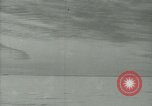 Image Snow pétrels l'Antarctique, 1929, de la seconde 17 séquences d'archives historiques vidéo 65675020813