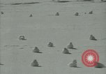 Image Snow pétrels l'Antarctique, 1929, de la seconde 18 séquences d'archives historiques vidéo 65675020813