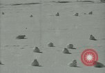 Image Snow pétrels l'Antarctique, 1929, de la seconde 19 séquences d'archives historiques vidéo 65675020813