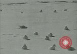 Image Snow pétrels l'Antarctique, 1929, de la seconde 20 séquences d'archives historiques vidéo 65675020813