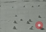 Image Snow pétrels l'Antarctique, 1929, de la seconde 22 séquences d'archives historiques vidéo 65675020813