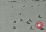 Image Snow pétrels l'Antarctique, 1929, de la seconde 24 séquences d'archives historiques vidéo 65675020813