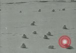 Image Snow pétrels l'Antarctique, 1929, de la seconde 25 séquences d'archives historiques vidéo 65675020813