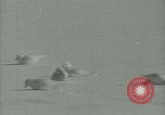 Image Snow pétrels l'Antarctique, 1929, de la seconde 38 séquences d'archives historiques vidéo 65675020813