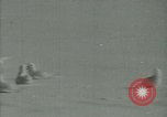 Image Snow pétrels l'Antarctique, 1929, de la seconde 39 séquences d'archives historiques vidéo 65675020813