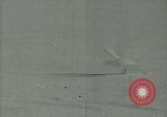 Image Snow pétrels l'Antarctique, 1929, de la seconde 40 séquences d'archives historiques vidéo 65675020813
