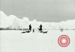 Image of Penguins Antarctica, 1929, second 3 stock footage video 65675020814
