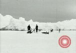 Image of Penguins Antarctica, 1929, second 4 stock footage video 65675020814