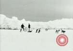 Image of Penguins Antarctica, 1929, second 5 stock footage video 65675020814