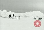 Image of Penguins Antarctica, 1929, second 6 stock footage video 65675020814