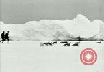 Image of Penguins Antarctica, 1929, second 9 stock footage video 65675020814
