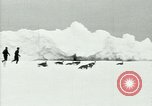 Image of Penguins Antarctica, 1929, second 10 stock footage video 65675020814