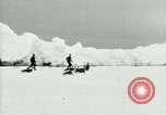 Image of Penguins Antarctica, 1929, second 13 stock footage video 65675020814