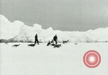 Image of Penguins Antarctica, 1929, second 14 stock footage video 65675020814