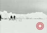 Image of Penguins Antarctica, 1929, second 15 stock footage video 65675020814