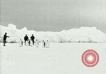 Image of Penguins Antarctica, 1929, second 16 stock footage video 65675020814