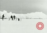 Image of Penguins Antarctica, 1929, second 17 stock footage video 65675020814