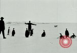 Image of Penguins Antarctica, 1929, second 25 stock footage video 65675020814