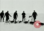 Image of Penguins Antarctica, 1929, second 32 stock footage video 65675020814