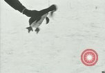 Image of Penguins Antarctica, 1929, second 51 stock footage video 65675020814