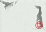 Image of Penguins Antarctica, 1929, second 52 stock footage video 65675020814