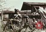 Image of Head Start Program Los Angeles California USA, 1966, second 8 stock footage video 65675020817