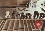Image of Head Start Program Los Angeles California USA, 1966, second 42 stock footage video 65675020817