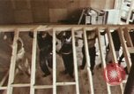 Image of Head Start Program Los Angeles California USA, 1966, second 47 stock footage video 65675020817