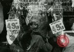 Image of Art Theater on Southern Boulevard Bronx New York City USA, 1965, second 60 stock footage video 65675020822