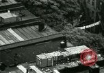 Image of Residents outdoors in their neighborhood Bronx New York City USA, 1965, second 3 stock footage video 65675020823