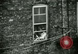 Image of Residents outdoors in their neighborhood Bronx New York City USA, 1965, second 56 stock footage video 65675020823