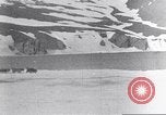 Immagine di Il Whaler Herman Arctic, 1915, secondo 13 filmato di repertorio 65675020828