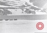 Immagine di Il Whaler Herman Arctic, 1915, secondo 14 filmato di repertorio 65675020828