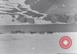 Immagine di Il Whaler Herman Arctic, 1915, secondo 16 filmato di repertorio 65675020828