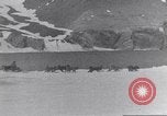 Immagine di Il Whaler Herman Arctic, 1915, secondo 17 filmato di repertorio 65675020828
