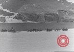 Immagine di Il Whaler Herman Arctic, 1915, secondo 18 filmato di repertorio 65675020828