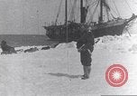 Immagine di Il Whaler Herman Arctic, 1915, secondo 35 filmato di repertorio 65675020828
