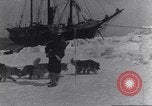 Immagine di Il Whaler Herman Arctic, 1915, secondo 38 filmato di repertorio 65675020828