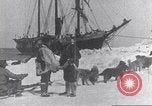 Immagine di Il Whaler Herman Arctic, 1915, secondo 43 filmato di repertorio 65675020828