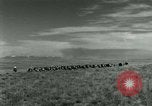 Image of World War II Texas United States USA, 1946, second 16 stock footage video 65675020831