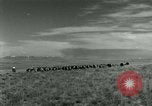 Image of World War II Texas United States USA, 1946, second 17 stock footage video 65675020831