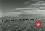 Image of World War II Texas United States USA, 1946, second 20 stock footage video 65675020831