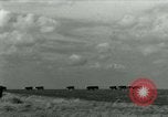 Image of World War II homefront effort in Texas Texas United States USA, 1945, second 1 stock footage video 65675020832
